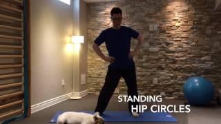 Standing Hip Circles