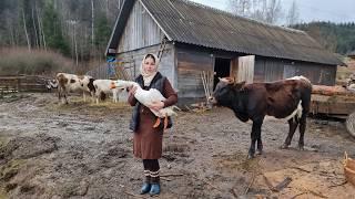 Simple life in the mountains! Cooking roasted duck in the oven