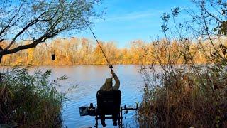 ФИДЕР В НОЯБРЕ 2024! Фидерная рыбалка осенью по холодной воде. Ловля плотвы и карася на фидер осенью