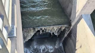 Dam Flap Gate Opening for Efficient dam water management