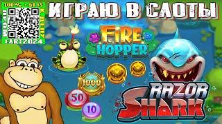 Играю в слоты казино Razor Shark и Fire Hopper депозит 10$