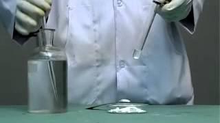 22. Zno and Nitric acid - Acids, Bases and Salts