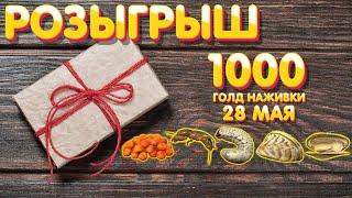  1000 голд наживки РОЗЫГРЫШ  28 мая  Русская Рыбалка 4