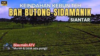 Wisata Kebun Teh Sidamanik Siantar 2024 Sekarang Makin Indah & Asri | Kebun Teh BahButong Sidamanik