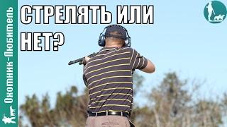 Стоит ли стрелять на дальние дистанции? Охотник-Любитель