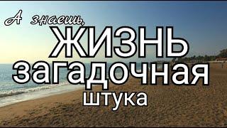 Дмитрий Кудрявцев. А знаешь, жизнь загадочная штука.