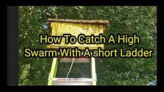 How To Catch A High Swarm With A short Ladder