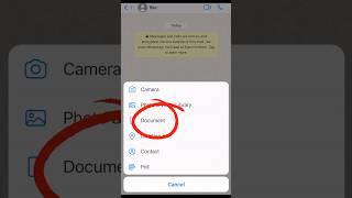 How to send photos in document iPhone #youtubeshorts #iphone #android #whatsapp #tech