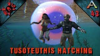 ARK: TUSOTEUTHIS HATCHING & TAMING! Ep 43  [Vanilla w/ S+] [Sons of AnARKy]