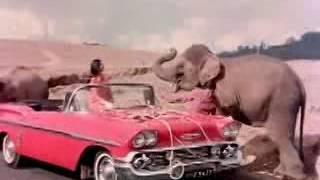 Индийская песня из/кинофильма слоны мои друзья