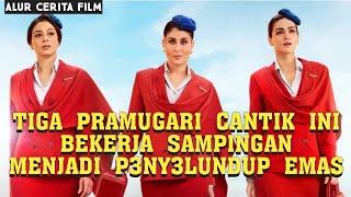 ALUR CERITA FILM INDIA PRAMUGARI CANTIK YANG BEKERJA SAMPINGAN MENJADI P3NY3LUNDUP EMAS