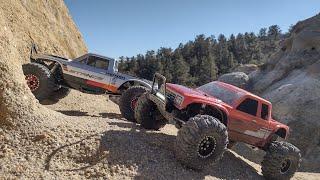 Vanquish Stance & Phoenix Crawling & Trailing Comparison!!