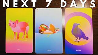   Pick A Card 《 Next 7 Days, What Will Be Revealed 》Weekly Tarot  Reading 
