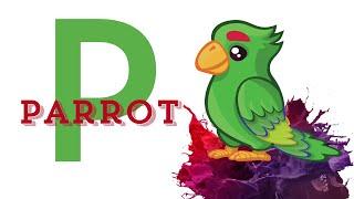 Parrot videos | #csknowhow