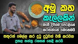 අමු කහ කෑල්ලකින් ඔබේ දිවියම පෙරළියක් කරගන්නේ මෙහෙමයි