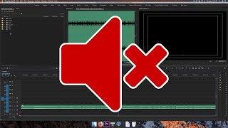 Audio Won't Play in Premiere Pro CC 2018 [FIX!]