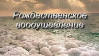 Ирина Косюга. НХМ [Невская Христианская Миссия] Рождественское воодушевление