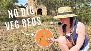 Growing Vegetables on Off Grid Homestead | NO DIG Gardening