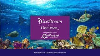 Divestream Episode Six -  Night Dive with Aakash Malhotra