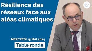 Résilience des réseaux face aux aléas climatiques