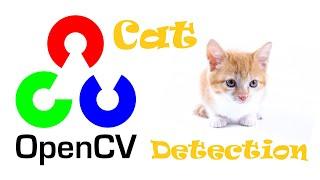 OpenCV Cat Detection