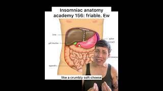 Insomniac anatomy academy 156: friable. #science #anatomy #sciencefacts #bodies #medicineexplained