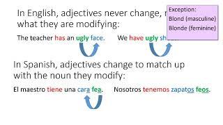 Notas Adjective Noun Agreement