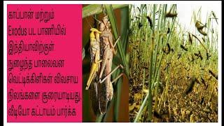 In the case of Capone Entered lnto India Locusts Have Exploited Farmland||Kannan Surya||KS||Tamil||