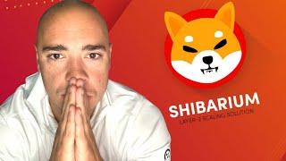 Why is Shiba Inu Coin and the Ecosystem Moving Up?