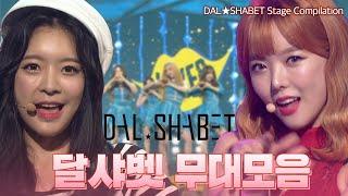 천하무적 멋쟁이 예비스타 달샤벳 Dalshabet 무대 모아보기 | #컴백서동요 | KBS 방송