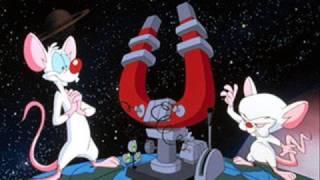 Pinky & The Brain Theme Song