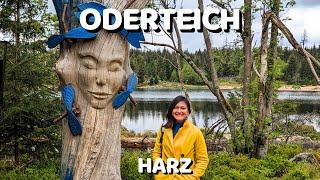 Kuat ga Niy Muterin Danau Oderteich Harz dengan Suhu 8 Derajat? | Harz Part 1