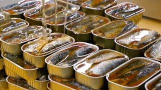 Como a SARDINHA enlatada é produzida/  Processo de produção  da sardinha enlatada.