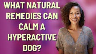 What natural remedies can calm a hyperactive dog?
