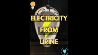 Electricity from urine ! #shorts #factsnation