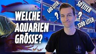 Aquariengrößen für FISCHE - Kategorien im Meerwasseraquarium * PlanktonPlus Aquaristik *