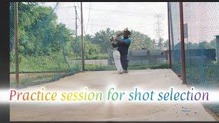 practice session for shot selection  #cricket #crickettechnique #batting #vlog