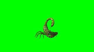 scorpio green screen