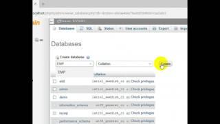 Connectivity of Database with Java in netbean software