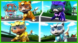 Cat Pack PAW Patrol Rescues - PAW Patrol - Cartoons for Kids Compilation