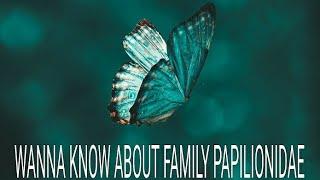 Classification of butterfly (Family - papilionidae)