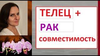 РАК + ТЕЛЕЦ Совместимость в отношениях - а что, если сделать по-другому ?