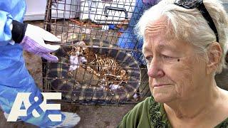 Hoarders: Husband's Passing Sent Peggy Spiraling Out of Control | A&E