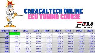 CaracalTech online training