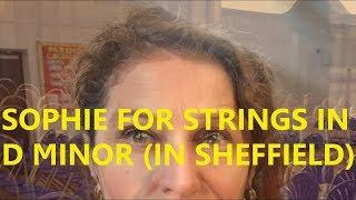 Sophie for Strings in D Minor (in Sheffield)