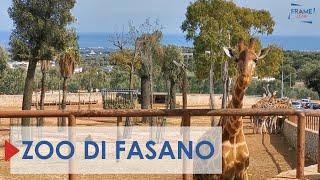 Zoo di Fasano, un meraviglioso incontro con gli animali che arrivano da tutto il mondo