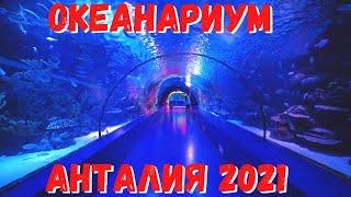 #ANTALYA#AQUARIUM Самый большой в мире аквариум Анталия, Турция 2021