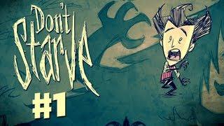 Don't Starve - Gameplay Walkthrough Part 1 - Let's Play! (PC)