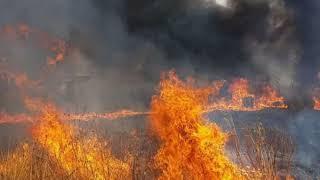 INCENDI: CI SCAPPA IL MORTO | IL VIDEO