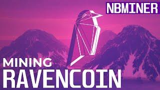 How To Mine Ravencoin | Ravencoin mining with NBminer